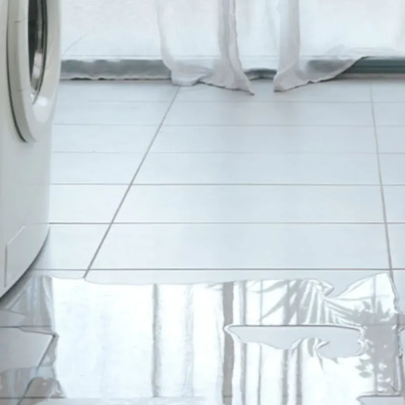 Appliance Leak Cleanup in Strafford, NH