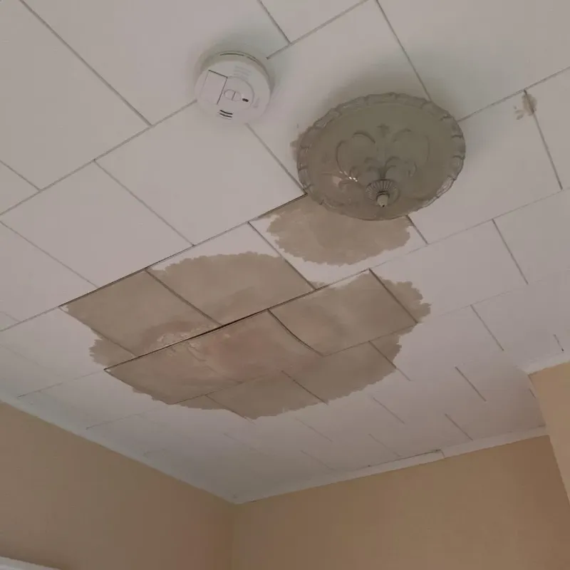 Ceiling Water Damage Repair in Strafford, NH