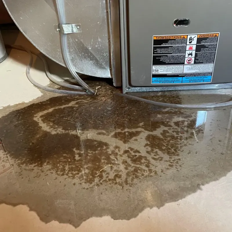 Pipe Burst and Leak Restoration in Strafford, NH